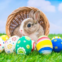 2024 Kids Easter Party